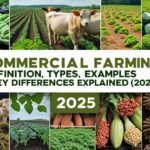Commercial Farming