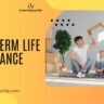 What is Term Life Insurance