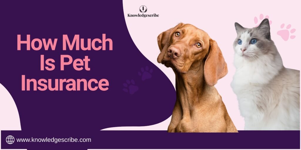 How Much Is Pet Insurance in 2026? Complete Monthly Costs Explained 1 How much is Pet Insurance