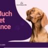 How much is Pet Insurance