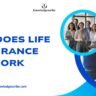 How Does Life Insurance Work in 2026? A Complete, Easy-to-Understand Guide 3 How does life insurance work