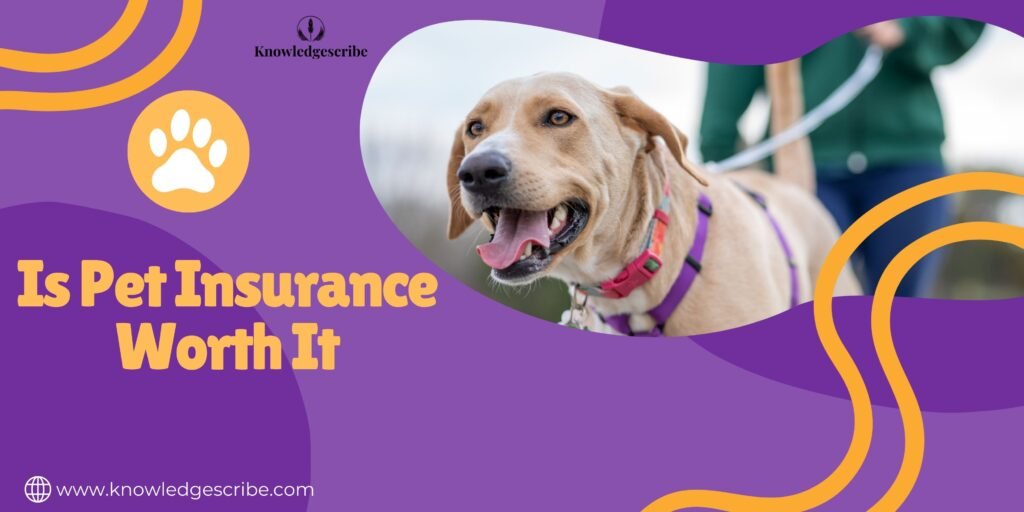 Is pet Insurance worth it