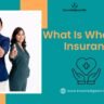 What Is Whole Life Insurance in 2026? A Complete Guide for Smart, Long-Term Protection 3 What is Whole Life Insurance