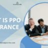 What is PPO Insurance