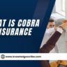 What is Cobra Insurance