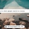 how to share google analytics access